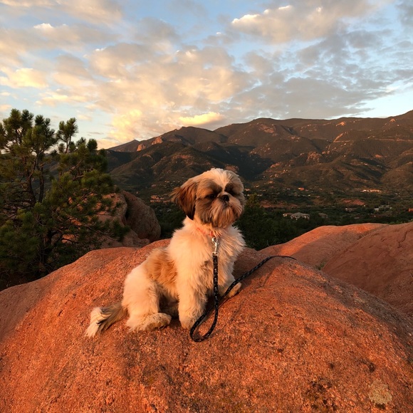 Meet your Posher, Jenny. - Picture 2 of 2